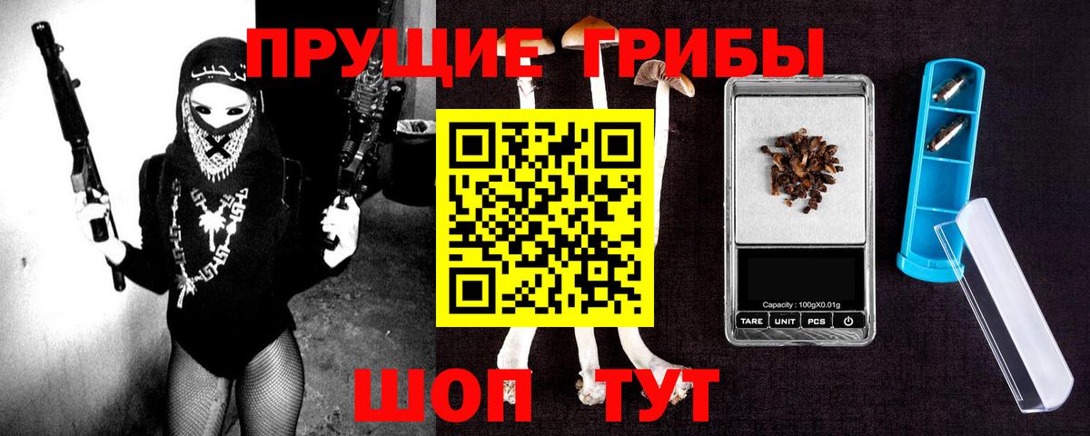 Галлюциногенные грибы Psilocybine cubensis Зима